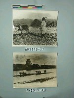 藏品(農家收穫打場)的圖片